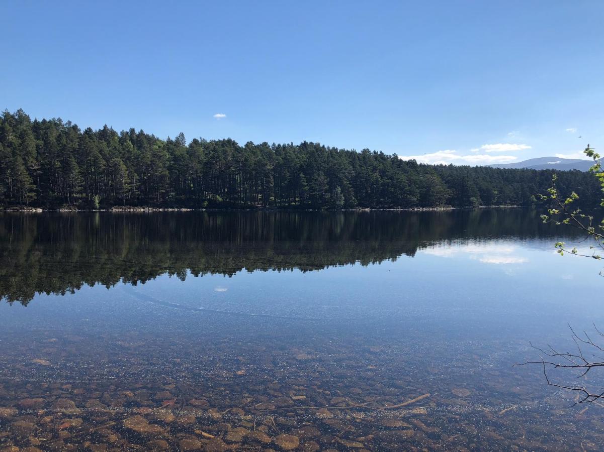 81 The Heathers, Aviemore Holiday Park , Dalfaber Rd Aviemore Ph22 1Px מראה חיצוני תמונה